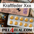 Power Spring Xxx 41